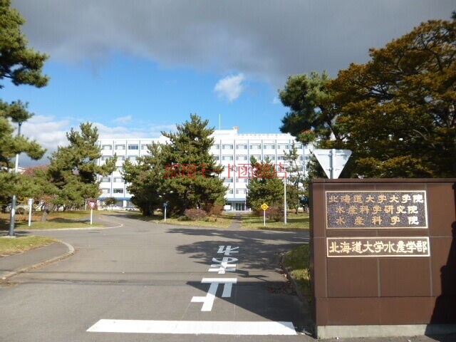 大学・短大　国立北海道大学水産学部（大学・短大）まで896m