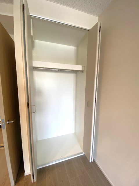 収納　同タイプ別室参考写真