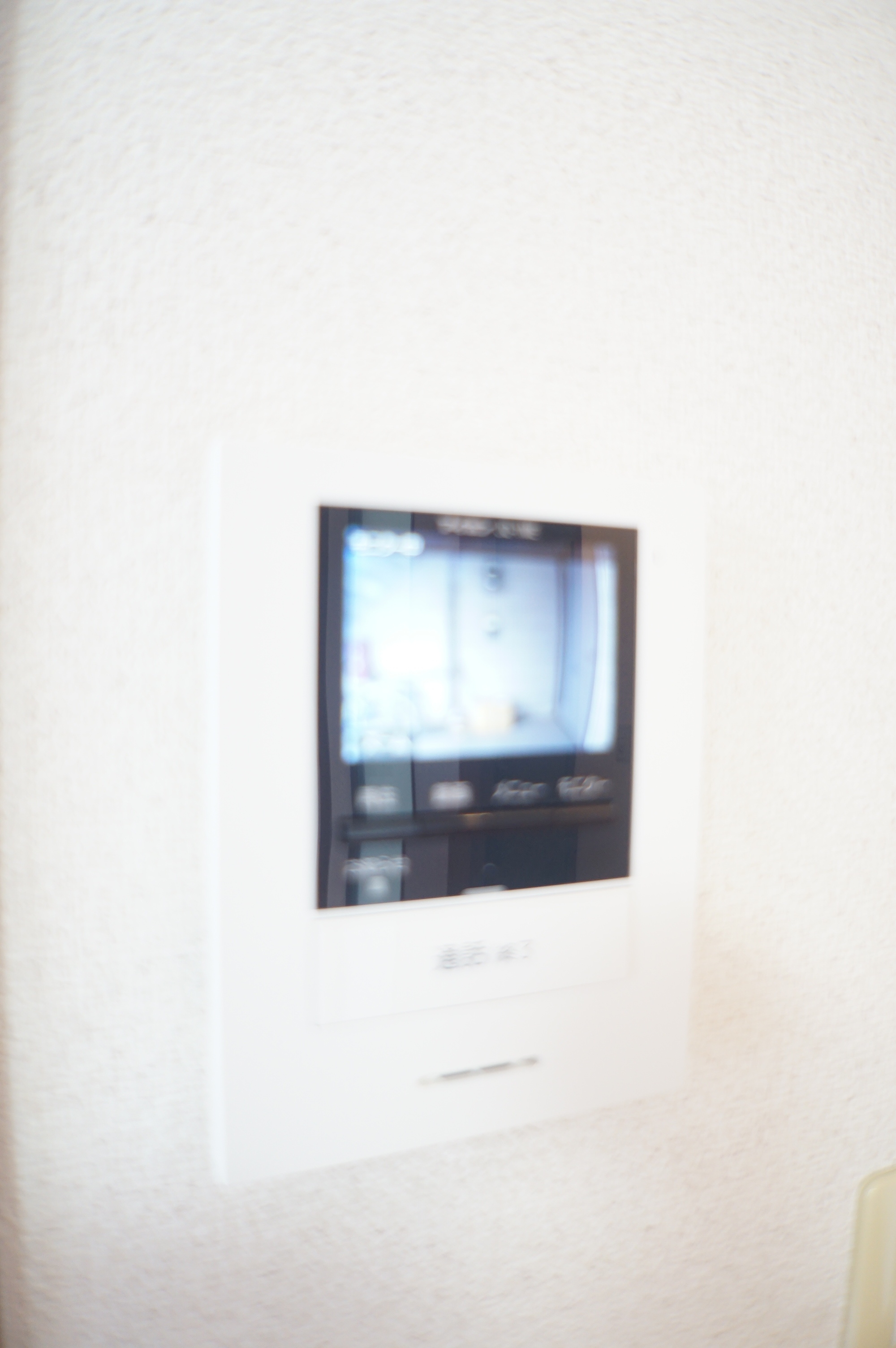 セキュリティ　ＴＶモニターホン付き