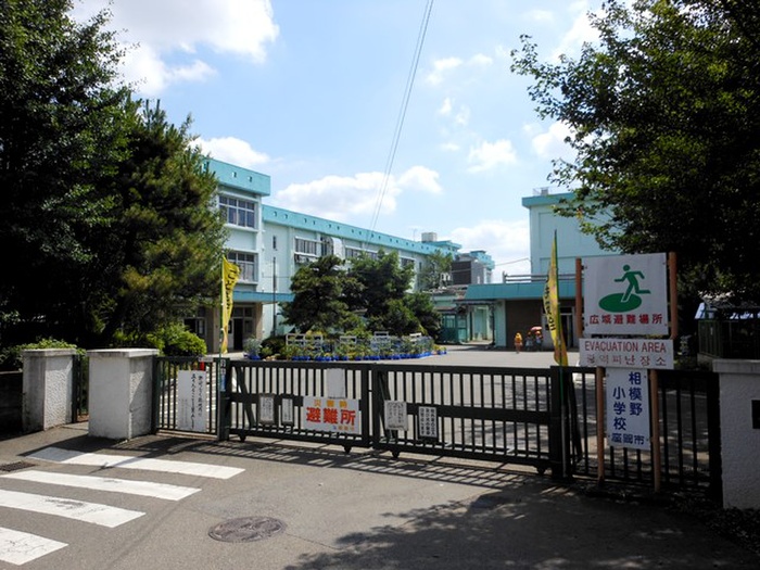 小学校　座間市立相模野小学校（小学校）まで181m
