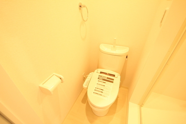 トイレ　別建物同タイプの写真になります。