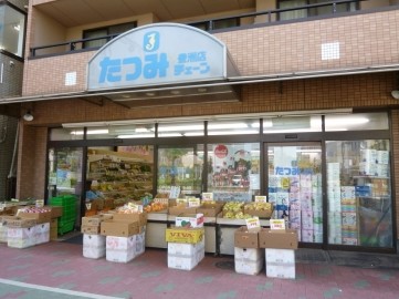 スーパー　たつみチェーン豊洲店（スーパー）まで340m