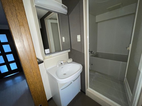 洗面設備　※別号室のお写真です