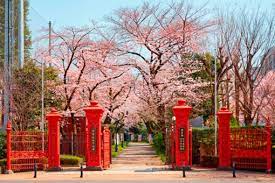 大学・短大　学習院女子大学（大学・短大）まで1255m