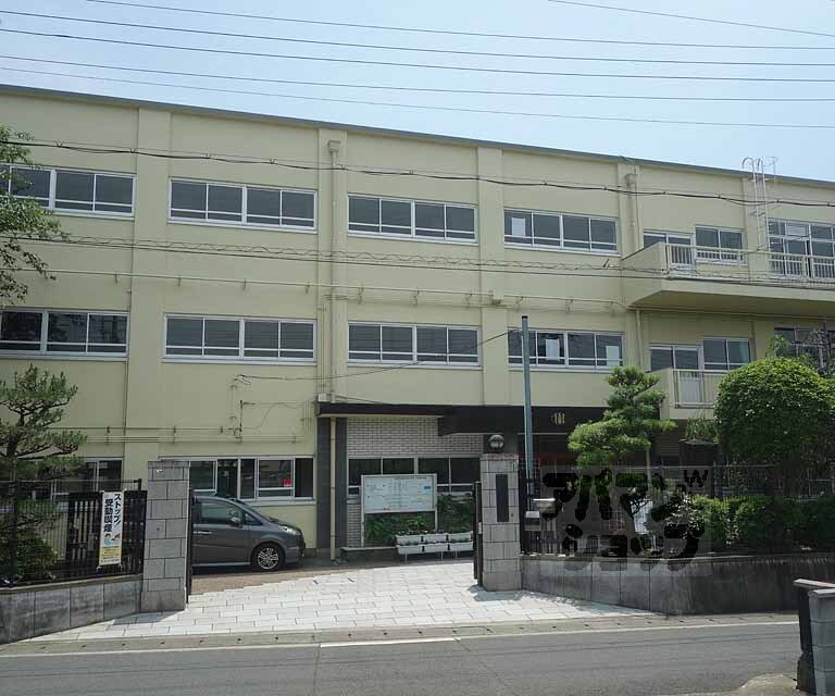 小学校　音羽川小学校（小学校）まで317m
