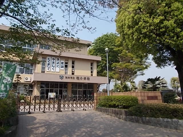 小学校　楡木小学校（小学校）まで350m