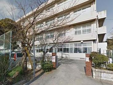 中学校　小田原市立国府津中学校（中学校）まで1018m