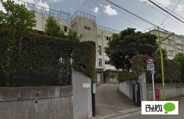 中学校　世田谷区立駒沢中学校（中学校）まで733m