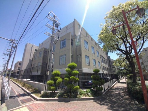 小学校　尼崎市立成徳小学校（小学校）まで600m