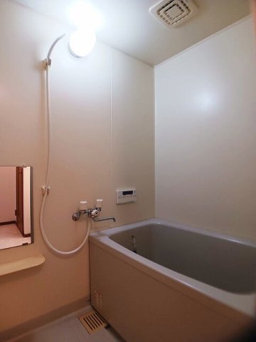 バス・シャワールーム　落ち着いた空間のお風呂です