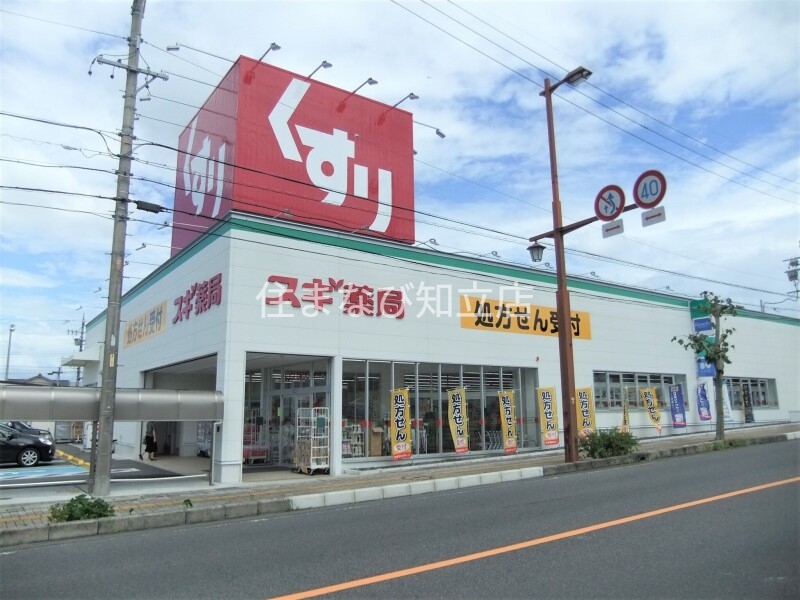 ドラックストア　スギ薬局豊田高上店（ドラッグストア）まで1101m