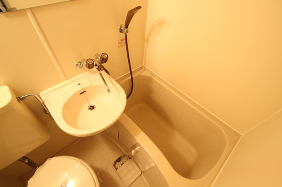 バス・シャワールーム　※別部屋の写真です