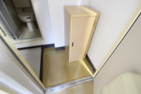 玄関　※別部屋の写真です