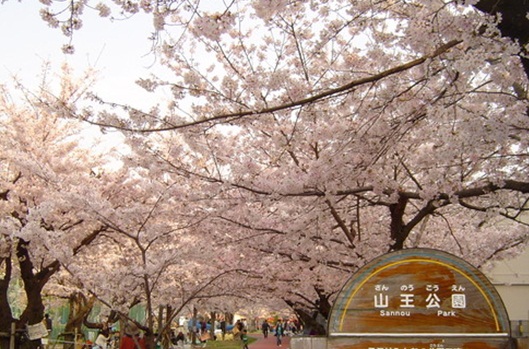 公園　山王公園（公園）まで350m
