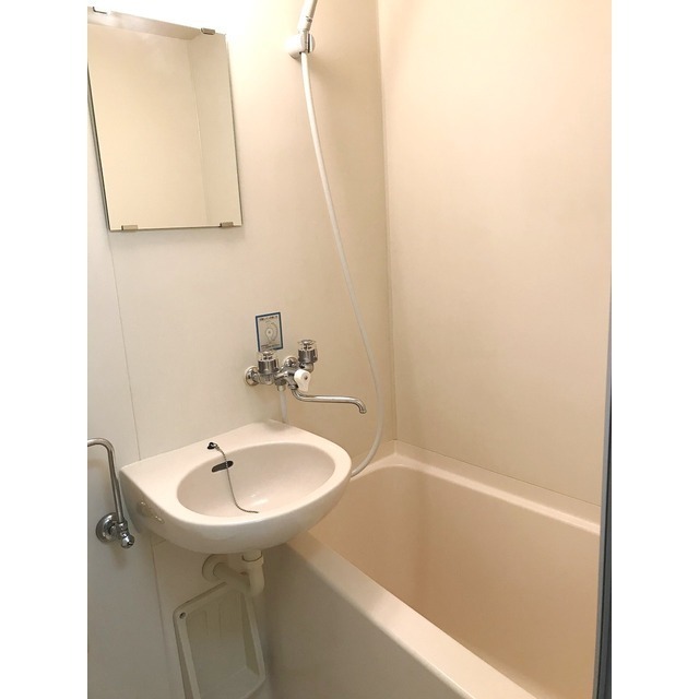 バス・シャワールーム　同タイプ・別部屋画像