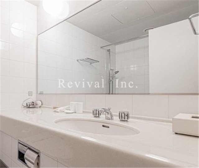 洗面設備　大きな鏡の収納も充実した洗面台でございます