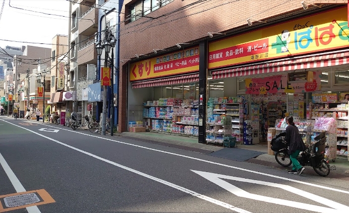 ドラックストア　どらっぐぱぱす滝野川店（ドラッグストア）まで424m