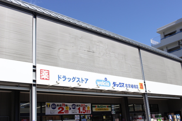 ドラックストア　ダックス（ドラッグストア）まで480m