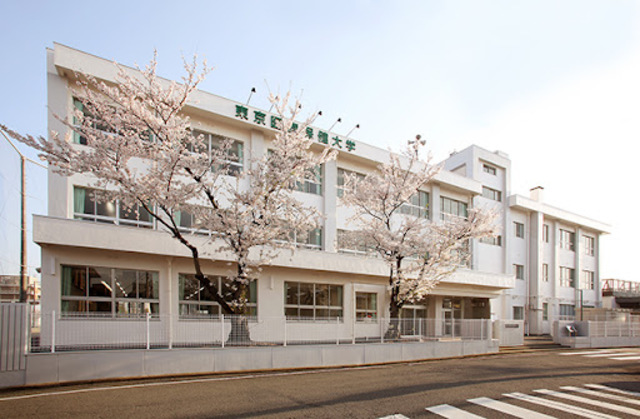 大学・短大　私立東京医療保健大学和歌山看護学部雄湊キャンパス（大学・短大）まで391m