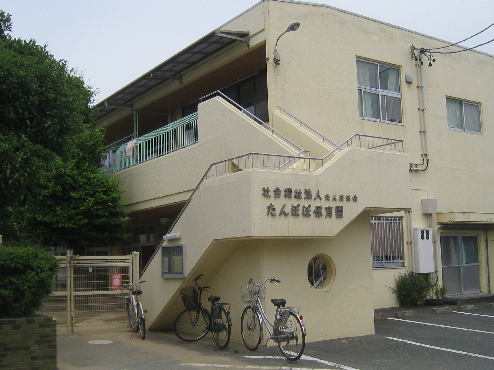 幼稚園・保育園　たんぽぽ保育園（幼稚園・保育園）まで386m