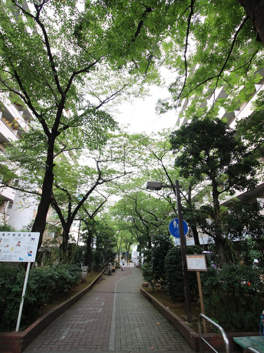 公園　亀戸緑道公園（公園）まで412m