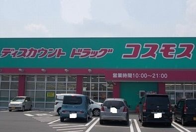 ドラックストア　コスモス六条店さん（ドラッグストア）まで1100m