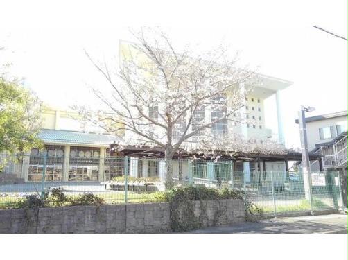 小学校　大分市立大在西小学校（小学校）まで746m