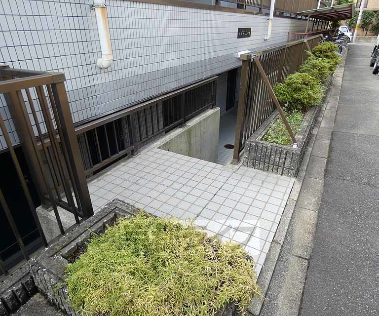 庭