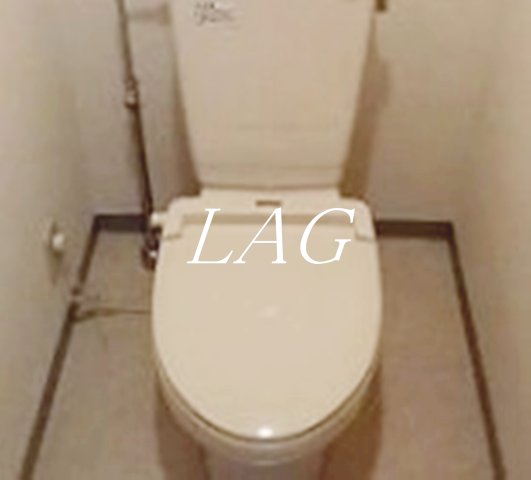 トイレ　トイレです。
