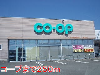 スーパー　コープ（スーパー）まで250m