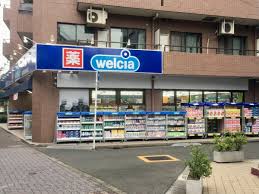 ドラックストア　ウエルシア板橋浮間舟渡店（ドラッグストア）まで205m
