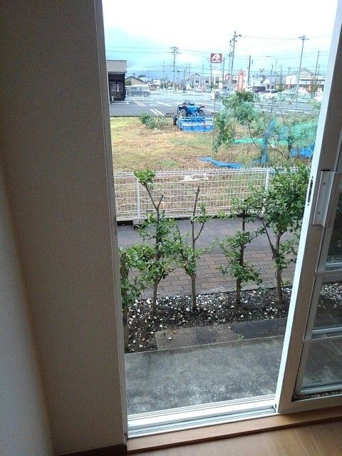 庭