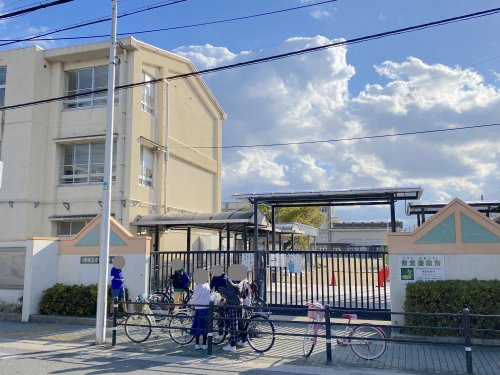 小学校　堺市立金岡小学校（小学校）まで493m