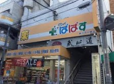 ドラックストア　どらっぐぱぱす新江戸川橋店（ドラッグストア）まで1799m