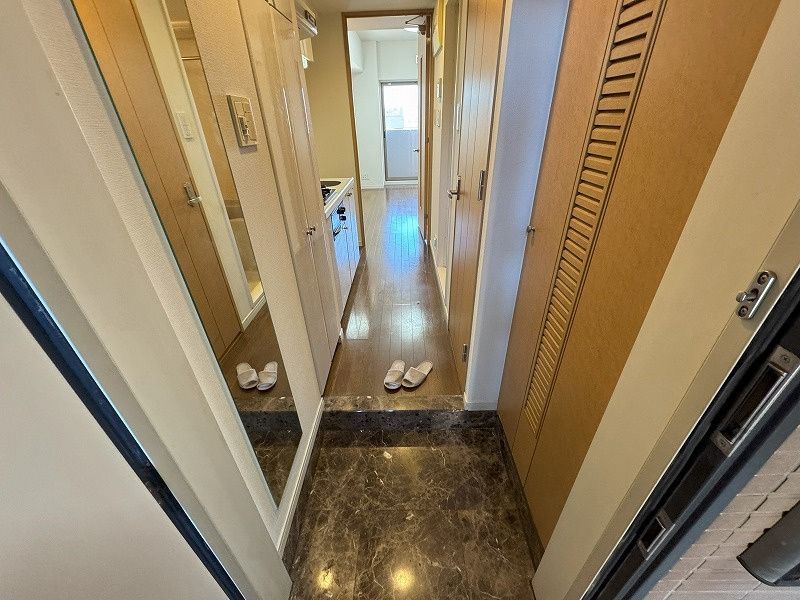 玄関　（別タイプ参考写真）パレステュディオ目白　豊島区雑司が谷３