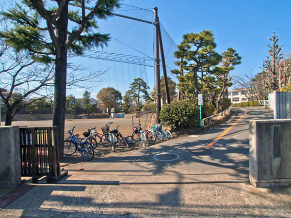 小学校　藤沢市立藤沢小学校（小学校）まで283m