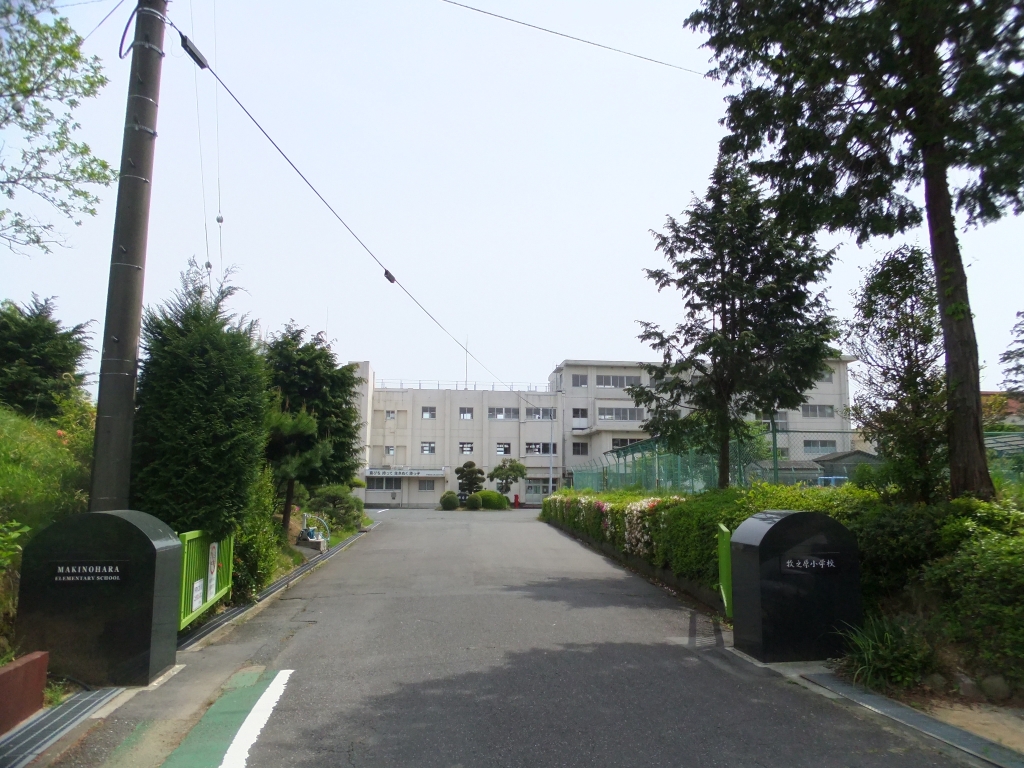 小学校　組合立牧之原小学校（小学校）まで1419m