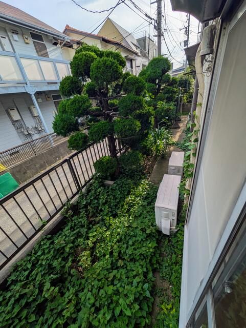 眺望