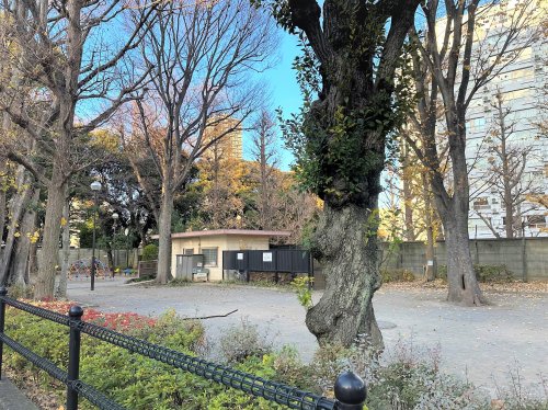 公園　文京区立切通公園（公園）まで523m