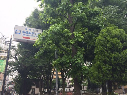 公園　板橋駅前公園（公園）まで229m