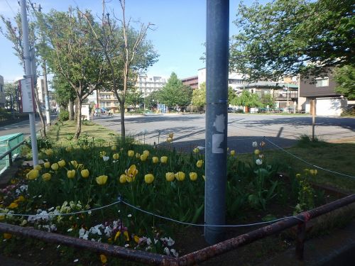 公園　天王町公園（公園）まで147m