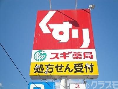 ドラックストア　スギ薬局堺長曽根店（ドラッグストア）まで305m