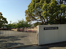 中学校　堺市立宮山台中学校（中学校）まで767m