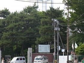 その他　武蔵野大学（その他）まで1000m