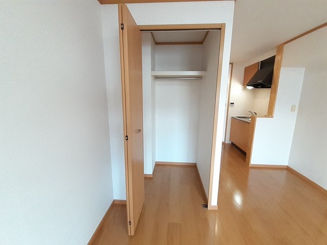 収納　※同建物の別のお部屋の写真です。