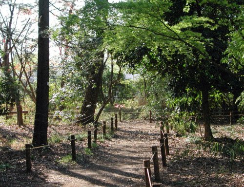 公園　野川緑地公園（公園）まで1747m
