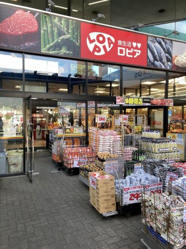 スーパー　LOPIA(ロピア) 開成店（スーパー）まで493m