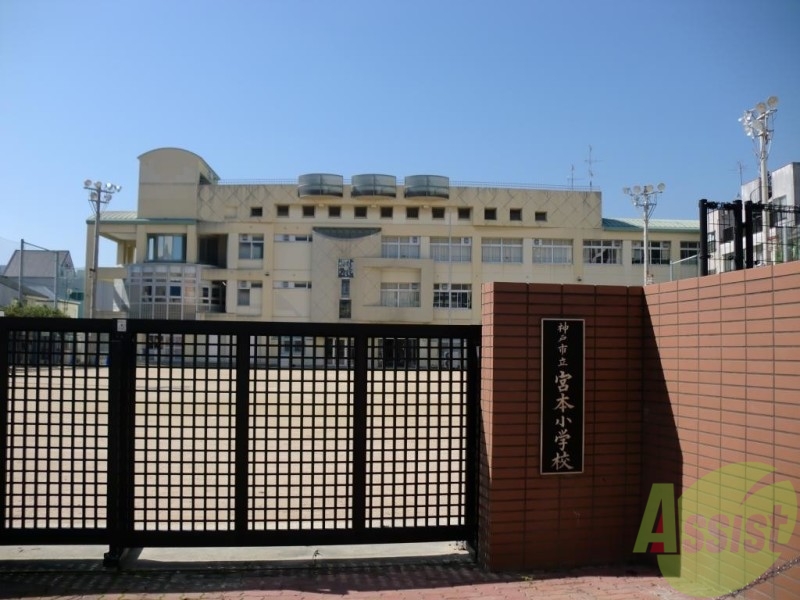 小学校　神戸市立宮本小学校（小学校）まで206m