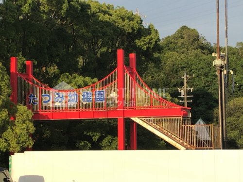 幼稚園・保育園　たつみ幼稚園（幼稚園・保育園）まで145m