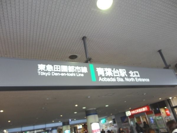 その他　東急田園都市線青葉台駅（その他）まで1000m